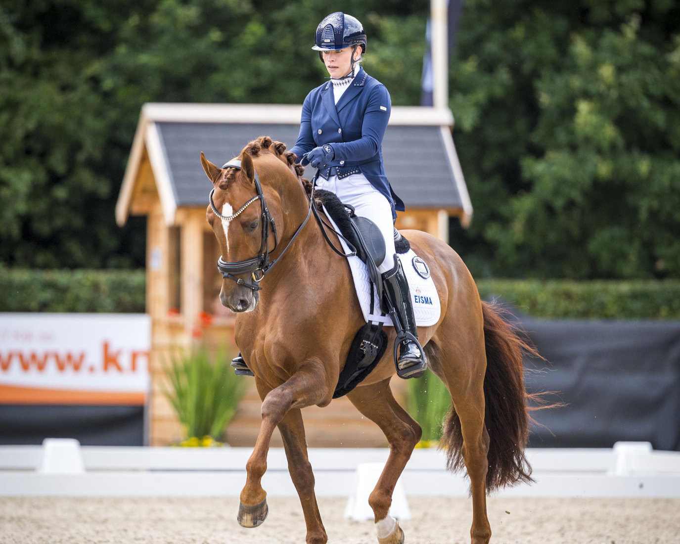 N.O.P. status Eisma’s Royal Fonq